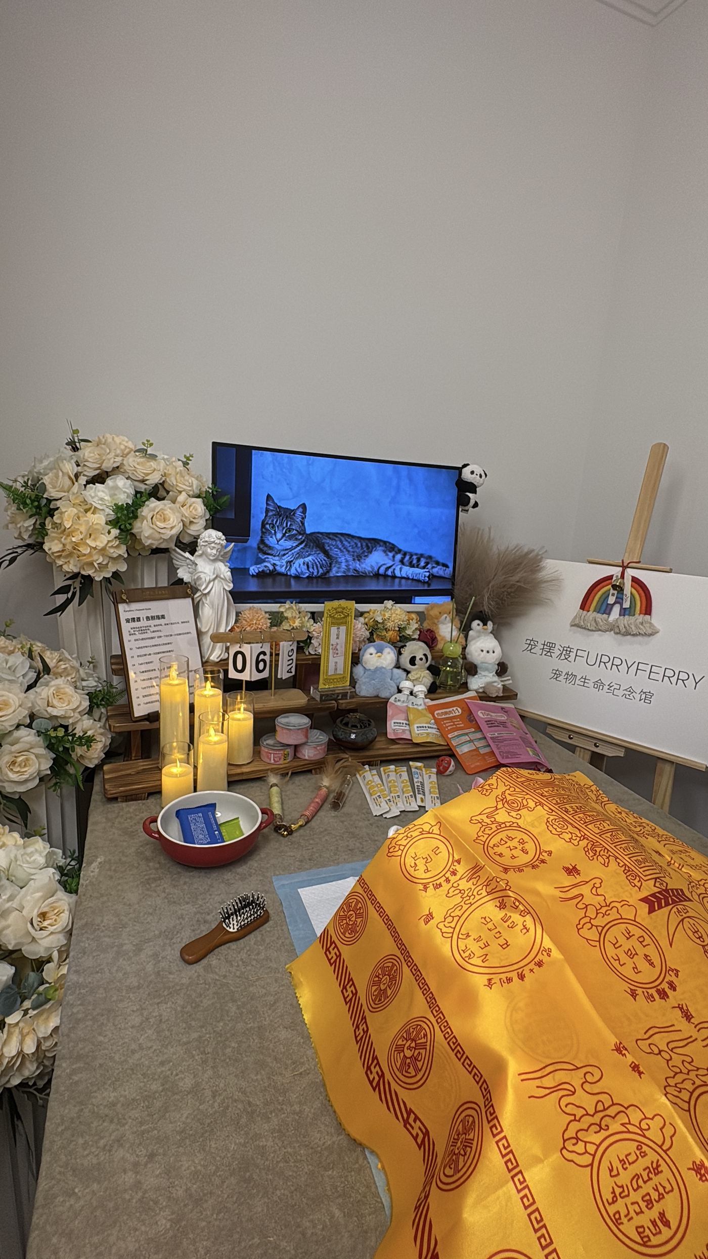 需要提前准备好这些