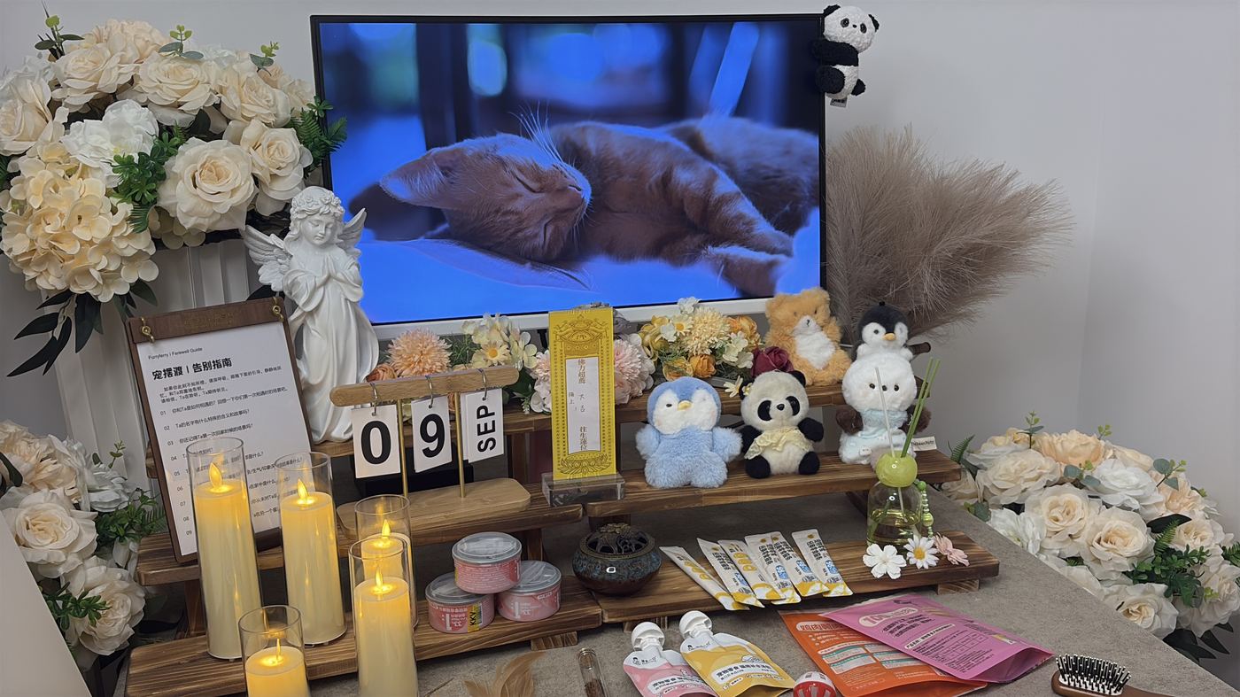 这份悲伤是真实的